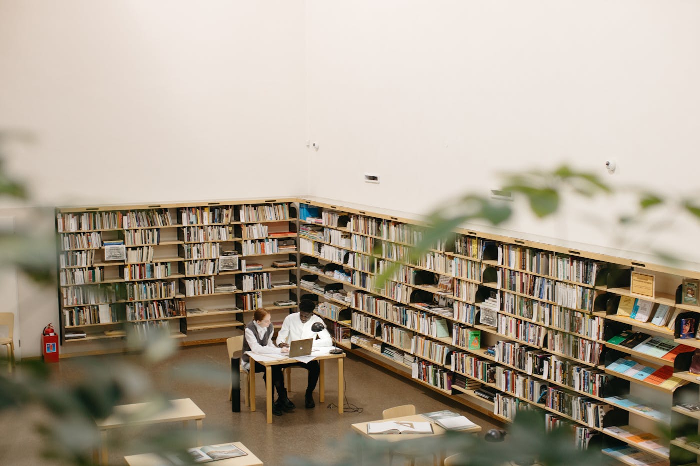 Students studying together in a library